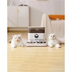 智能宠物喂食器供应商-芯片食物分配器猫碗