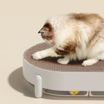 猫抓板厂家-多功能纸板椭圆形耐用