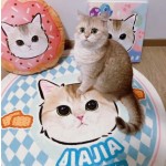 宠物地毯厂家-可定制天鹅绒手绘肖像