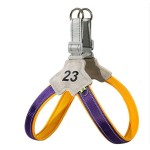 宠物背带厂家-防爆冲带易控手柄