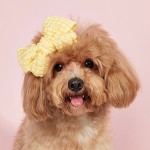 狗发夹厂家-生日3D亮片兔子耳朵