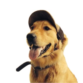 Pet Baseball Hat Factory - Luxury Summer Polyester Printed