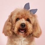 狗发夹厂家-生日3D亮片兔子耳朵