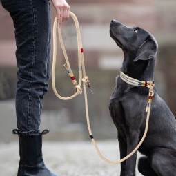 狗牵引绳套装厂家-金线流苏无痛尼龙