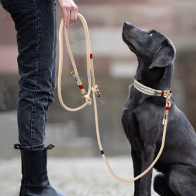 Dog Leash Set Supplier - Gold Thread Tassel Non-Painful Nylon