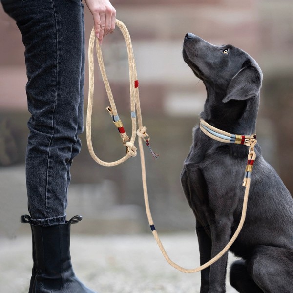 狗牵引绳套装厂家-金线流苏无痛尼龙