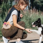 狗零食袋厂家-批发卡通磁力训练