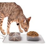 狗旅行碗厂家-双折叠防窒息