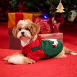 狗连帽衫厂家-法国斗牛犬法兰绒内衬冬季