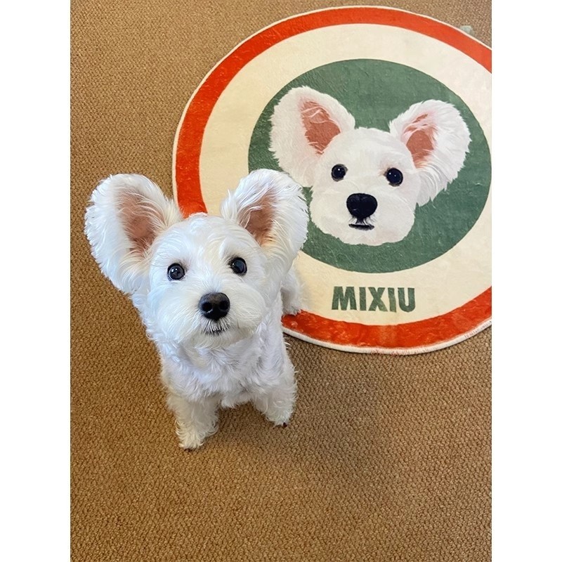 宠物地毯厂家-可定制天鹅绒手绘肖像