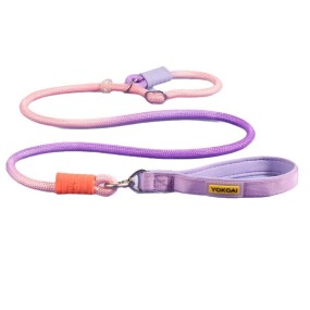 Dog Chain Leash Manufacturer - Hot New Explosion-Proof Anti-Tangle