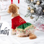 狗派对裙厂家-亮片 glitter雪纺裙