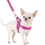 狗背心厂家-全天候花卉网纱天鹅绒