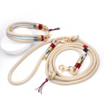 狗牵引绳套装厂家-金线流苏无痛尼龙