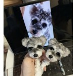 宠物纪念娃娃厂家-手工可定制独特