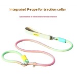 狗链式牵引绳厂家-热销新款防爆防缠