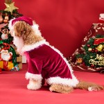 宠物T恤厂家-圣诞法兰绒圣诞老人连帽衫