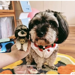 宠物纪念娃娃厂家-手工可定制独特