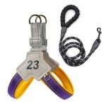 宠物背带厂家-防爆冲带易控手柄