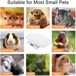 宠物秤厂家-数字精密LCD 10kg称重