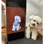 宠物纪念娃娃厂家-手工可定制独特