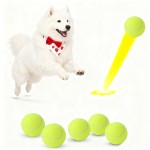 狗粪便袋厂家-带提手和弹性网球