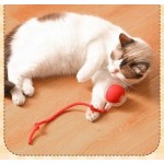 猫球玩具厂家-豪华USB充电自滚