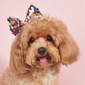 Dog Hair Clip Factory - Birthday 3D Sequin Rabbit Ears