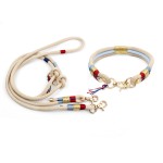 狗牵引绳套装厂家-金线流苏无痛尼龙