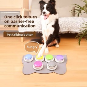 Pet Talking Button Supplier - Magic Recording Squeaky Box