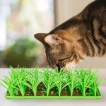 狗嗅闻垫厂家-硅胶易清洁舔食垫