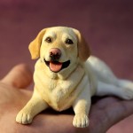 宠物装饰品厂家-环保聚合物粘土照片