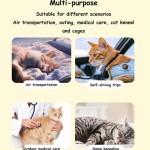 宠物运输箱厂家-小号塑料通风盒带铁丝门