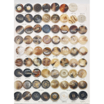 树脂纽扣厂家-18L-40L大衣女装缝纫2/4孔