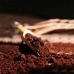 Nutritional Powder Manufacturer - OEM Custom Lingzhi Cocoa Coffee