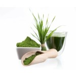 Barley Grass Powder Factory - Private Label Organic Juice