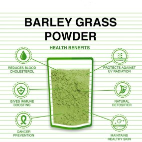 Barley Grass Powder Factory - Private Label Juice Extract