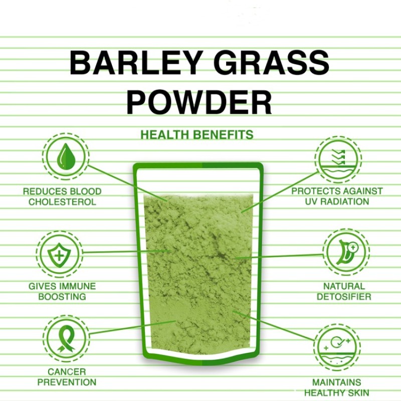 Barley Grass Powder Factory - Private Label Juice Extract