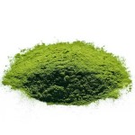 Barley Grass Powder Factory - Private Label Organic Juice