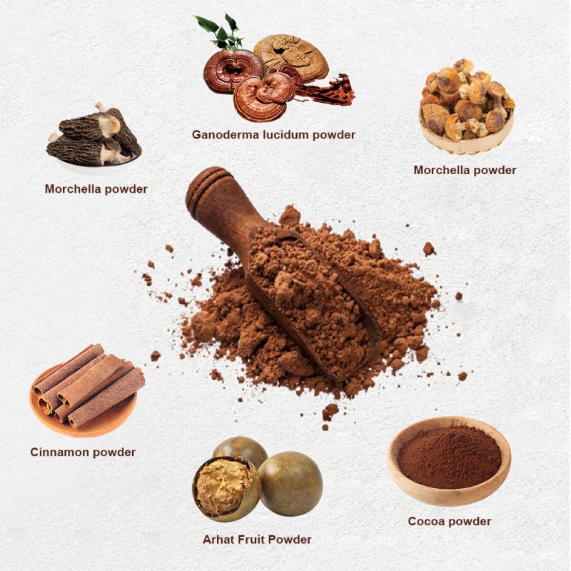 Nutritional Powder Manufacturer - OEM Custom Lingzhi Cocoa Coffee