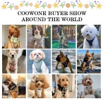 犬用背带套装生产商-定制奢华针织编织可调