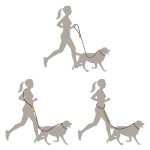 犬用牵引绳厂家-定制尼龙绳可调免提