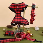 犬用背带套装供应商-定制氯丁橡胶彩色法斗