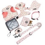 犬用背带供应商-定制蜜蜂设计个性化腊肠犬