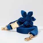 犬用背带套装生产商-奢华步入式天鹅绒可定制