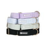 马汀格尔犬项圈供应商-尼龙快扣防滑设计