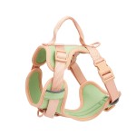 法国斗牛犬背带供应商-定制糖果色聚酯橡胶