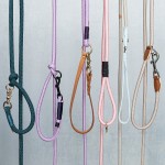 犬用牵引绳厂家-时尚编织免提皮革绳索