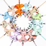 犬用背带套装供应商-定制氯丁橡胶彩色法斗