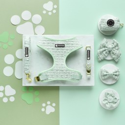 犬用背带套装生产商-热门定制设计头巾项圈